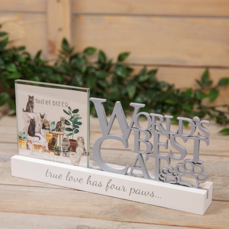 Best of Breed Photo Frame - 4" x 4" - Worlds Best Cat product image