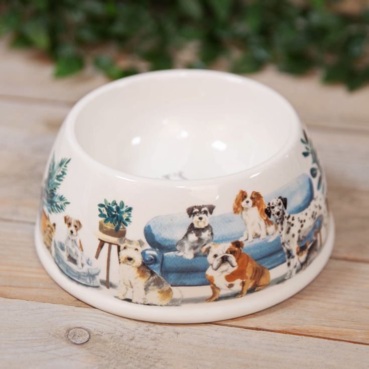 Best of Breed Ceramic Pet Bowl - Dog product image