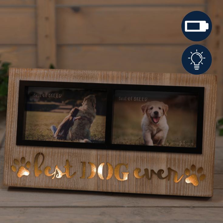 Best of Breed Light Up Photo Frame - Dog product image