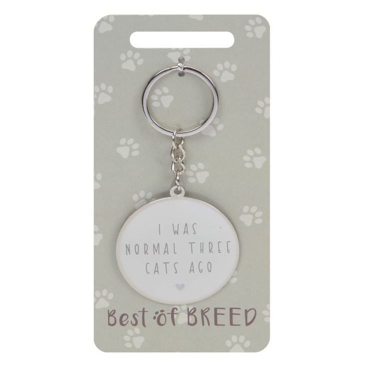 Best Of Breed - I Was Normal 3 Cats Ago product image