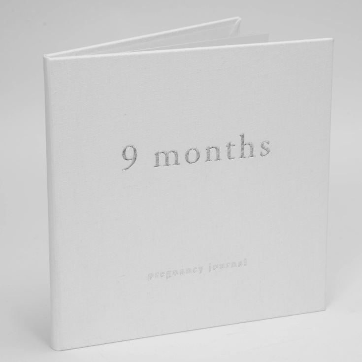 BAMBINO BY JULIANA® Linen Pregnancy Journal - 9 Months product image