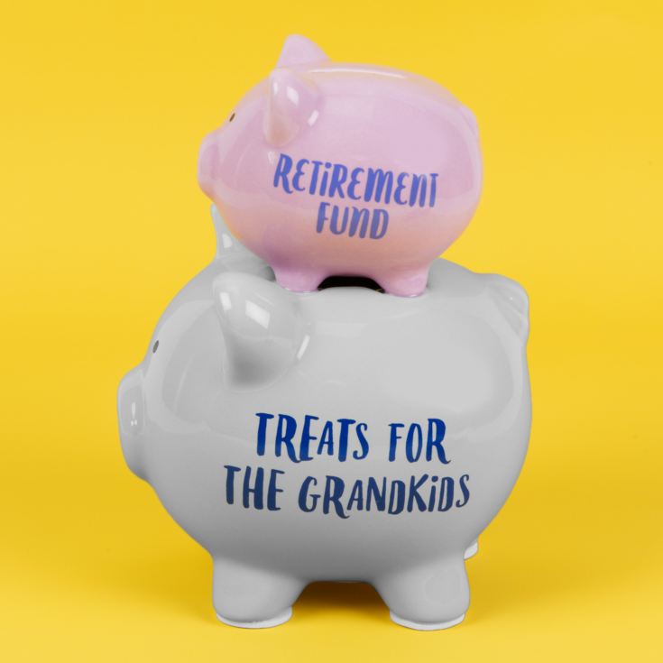 'Pennies & Dreams' Double Pig Money Bank - Retirement Fund product image