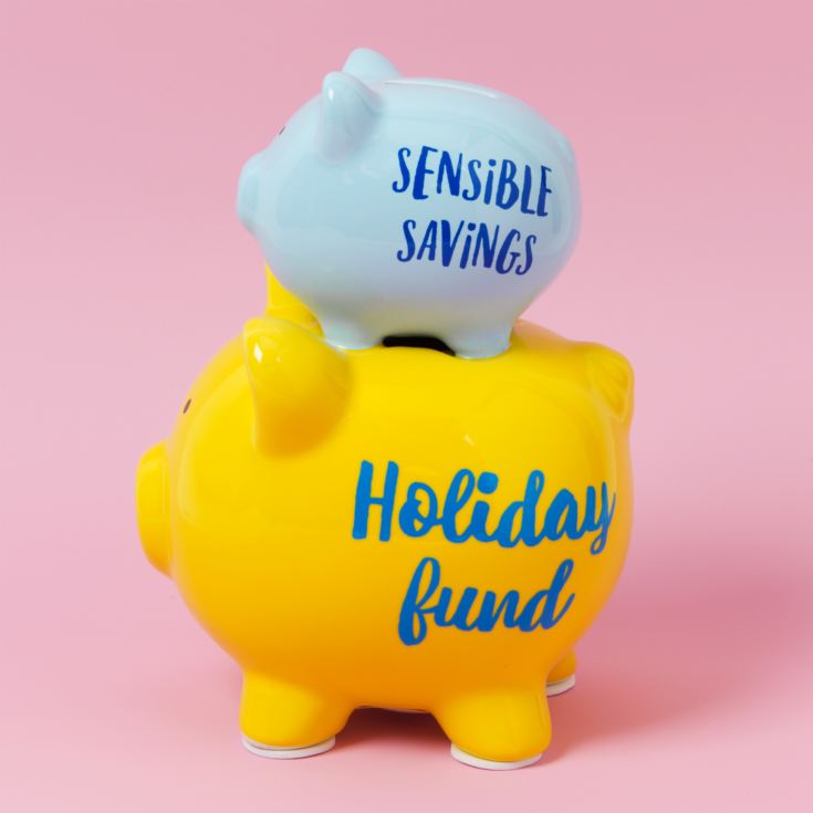 'Pennies & Dreams' Double Pig Money Bank - Sensible Savings product image