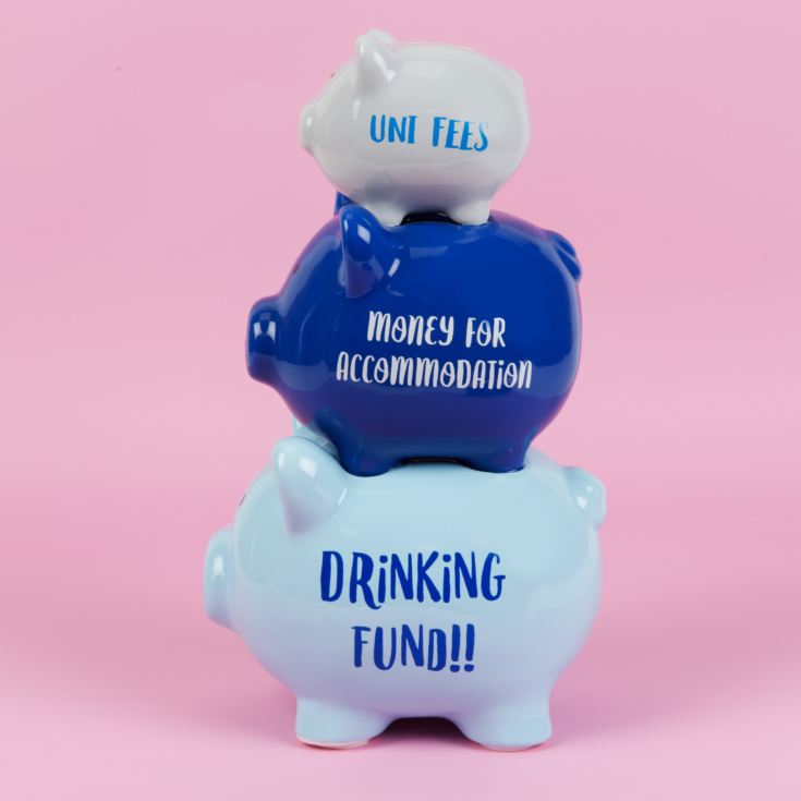 'Pennies & Dreams' Triple Piggy Bank - Drinking Fund product image