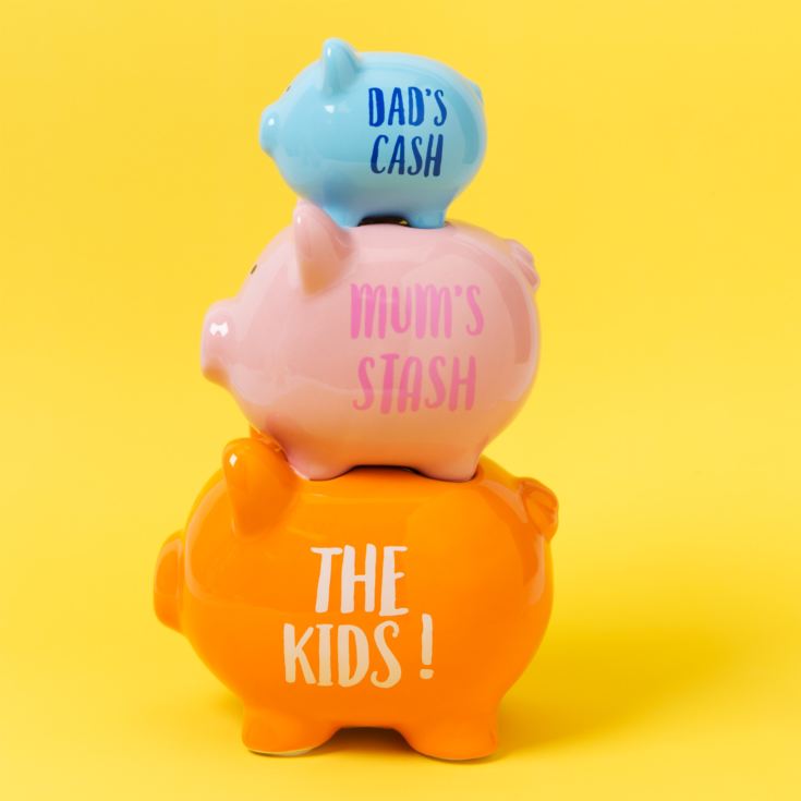 'Pennies & Dreams' Triple Pig Money Bank - The Kids! product image