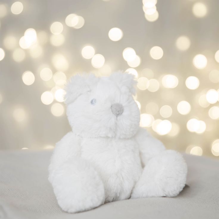 Bambino White Plush Bear Small 13cm product image