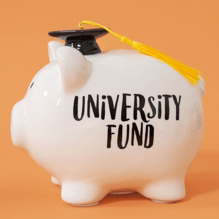 'Pennies & Dreams' Ceramic Pig Money Bank - University Fund product image