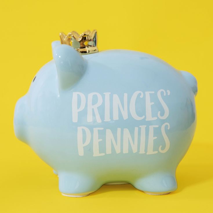 Pennies & Dreams Ceramic Piggy Bank - Prince's Pennies product image