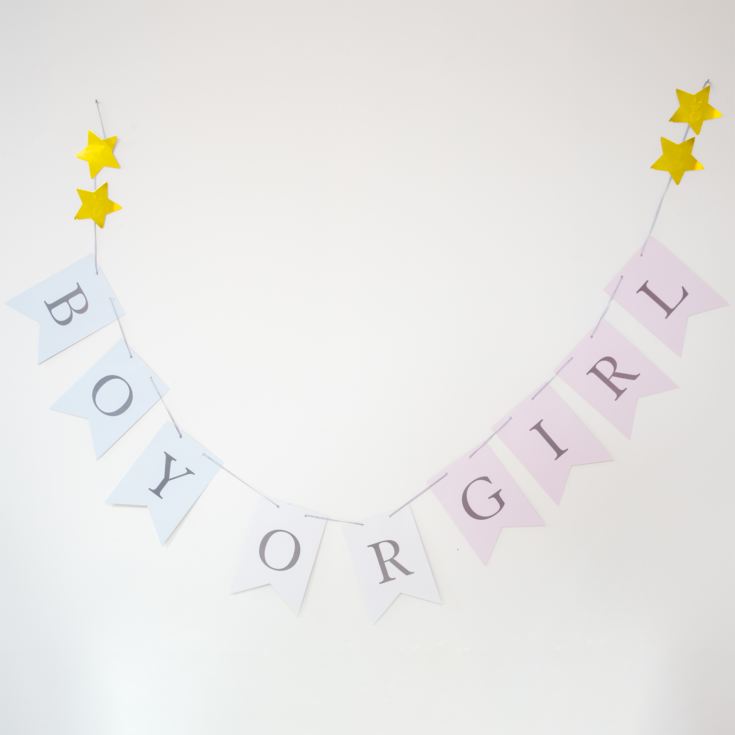 Bambino Gender Reveal Paper Bunting - Boy or Girl product image