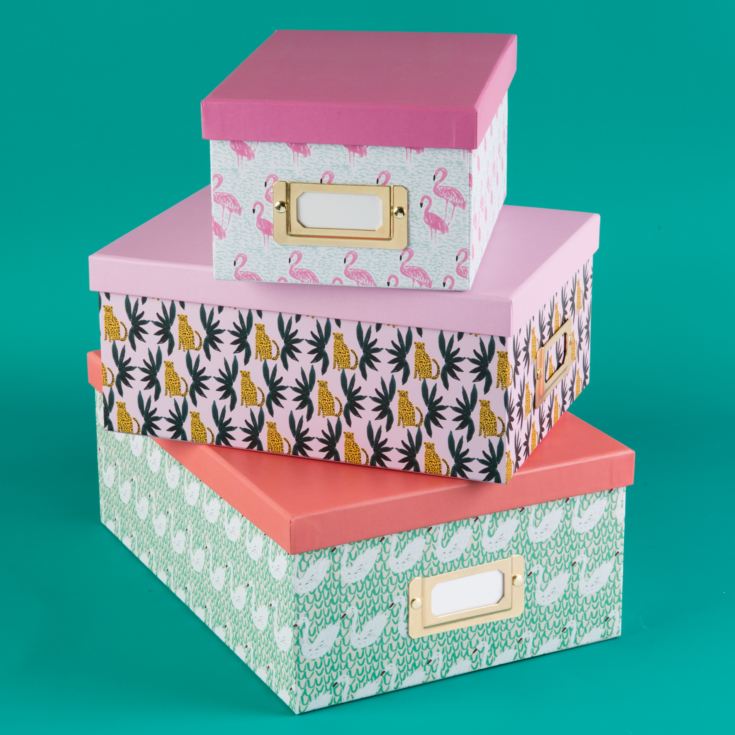 Bouffants & Broken Hearts Set of 3 Flamingo/Swan Boxes product image