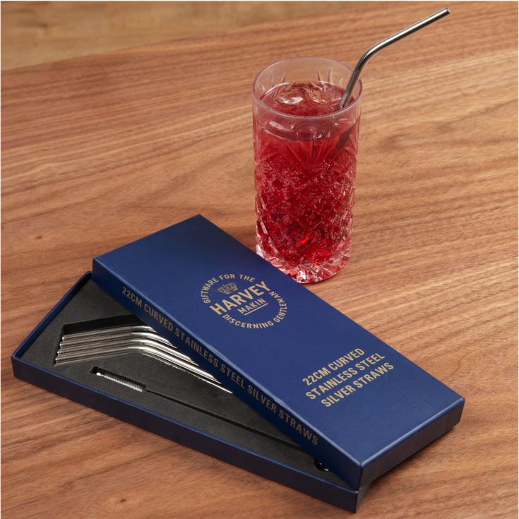 Set of 6 Curved Steel Drinking Straws & Brush 22cm product image