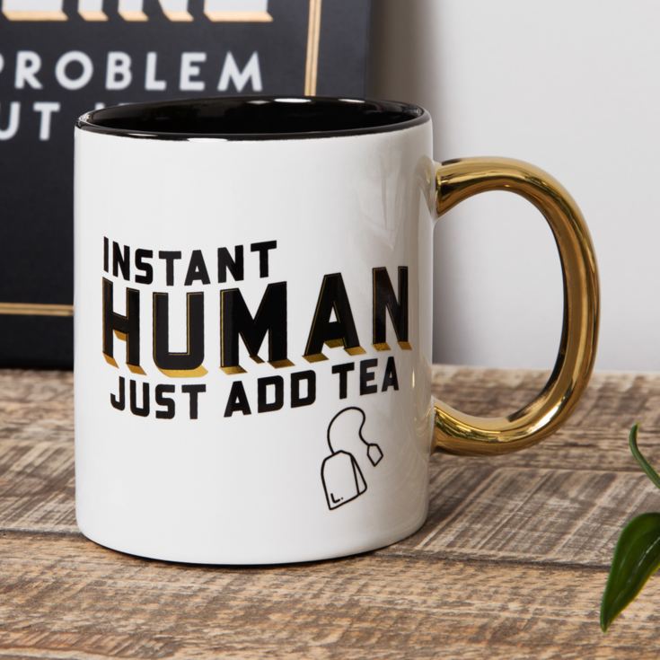 Harvey Makin Stoneware Mug - Instant Human Just Add Tea product image