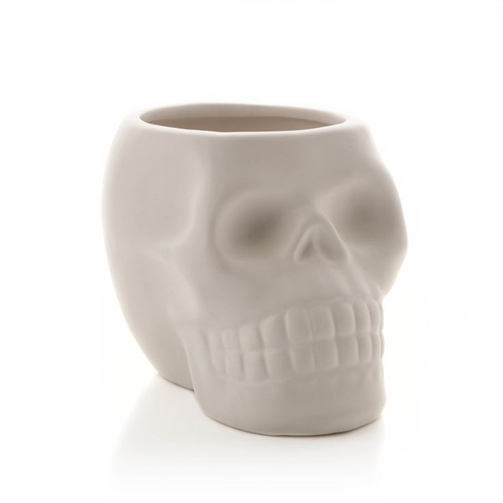 White Skull Plant Pot product image