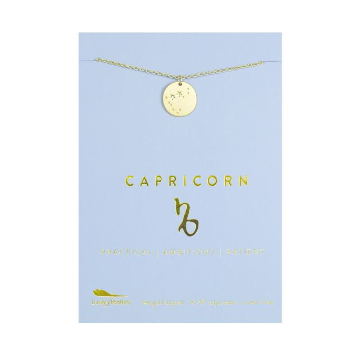 Zodiac Necklace - Capricorn product image