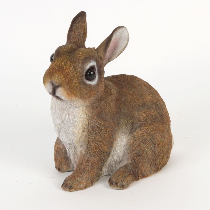 Naturecraft Collection - Rabbit product image