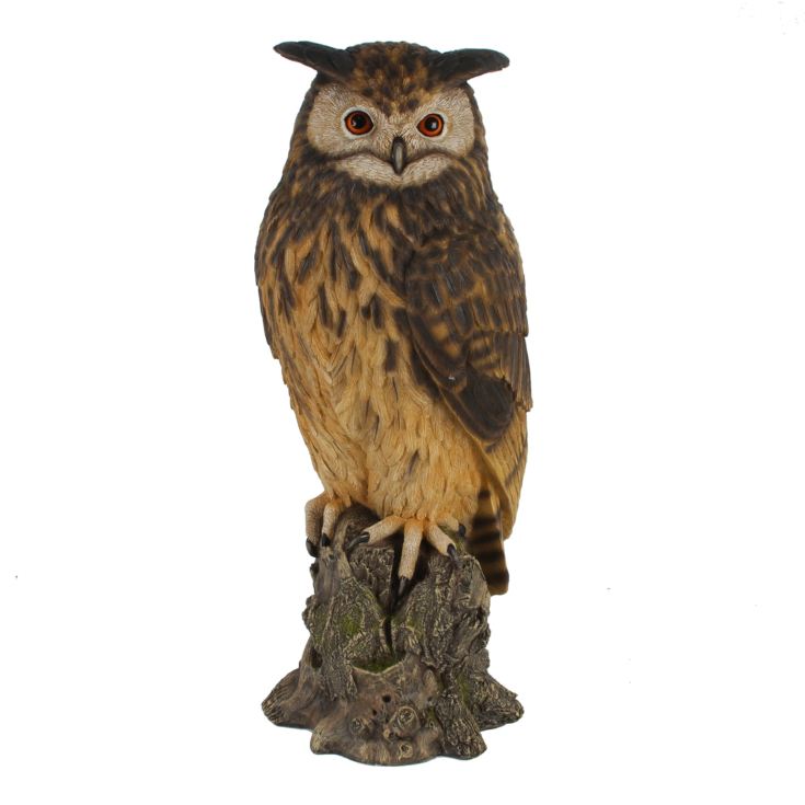 Naturecraft Collection - Owl | The Gift Experience