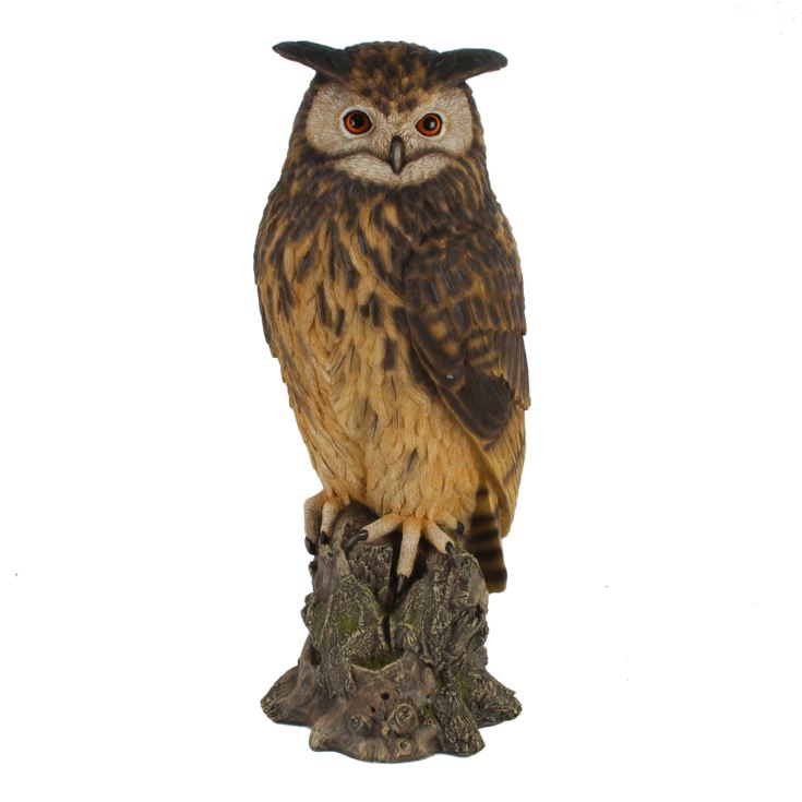 Naturecraft Collection - Owl product image