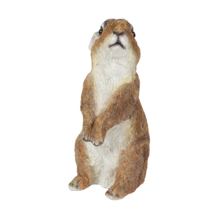 Naturecraft Collection - Rabbit Figurine product image