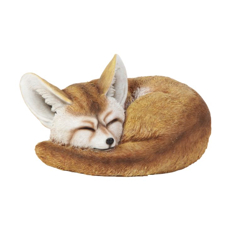 Naturecraft Collection - Sleeping Fennec Fox Figurine product image