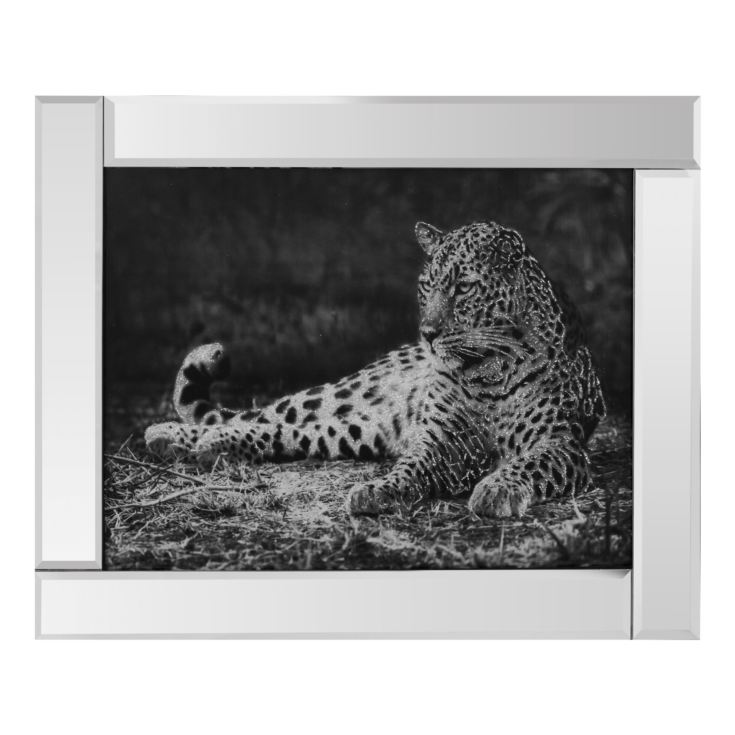 Naturecraft Mirrored Frame - Leopard product image