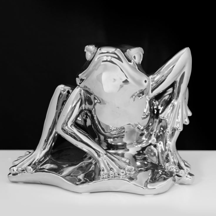 Naturecraft Silver Finish Ceramic Figurine - Frog product image