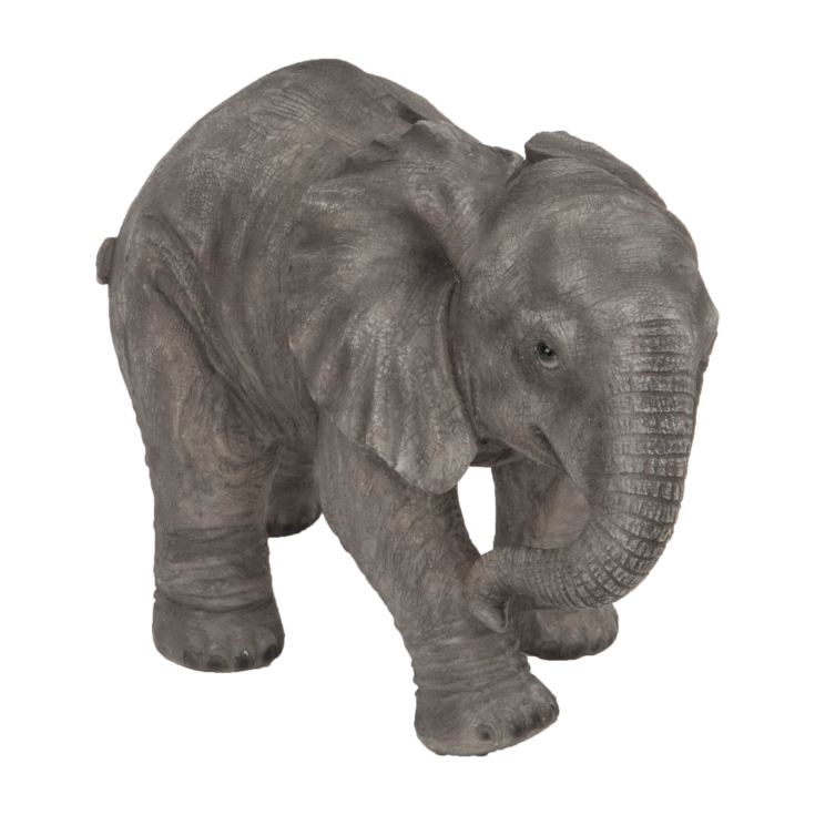 Naturecraft Collection - Elephant Money Box product image