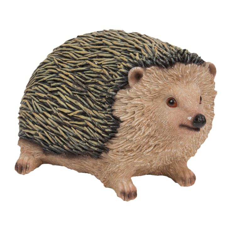 Naturecraft Collection - Hedgehog Figurine product image