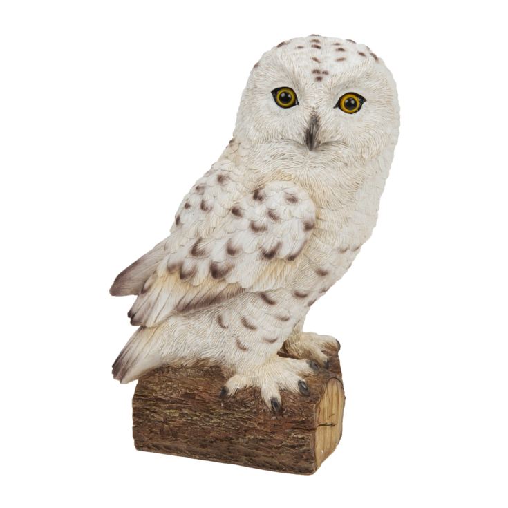 Naturecraft Collection - Snowy Owl product image