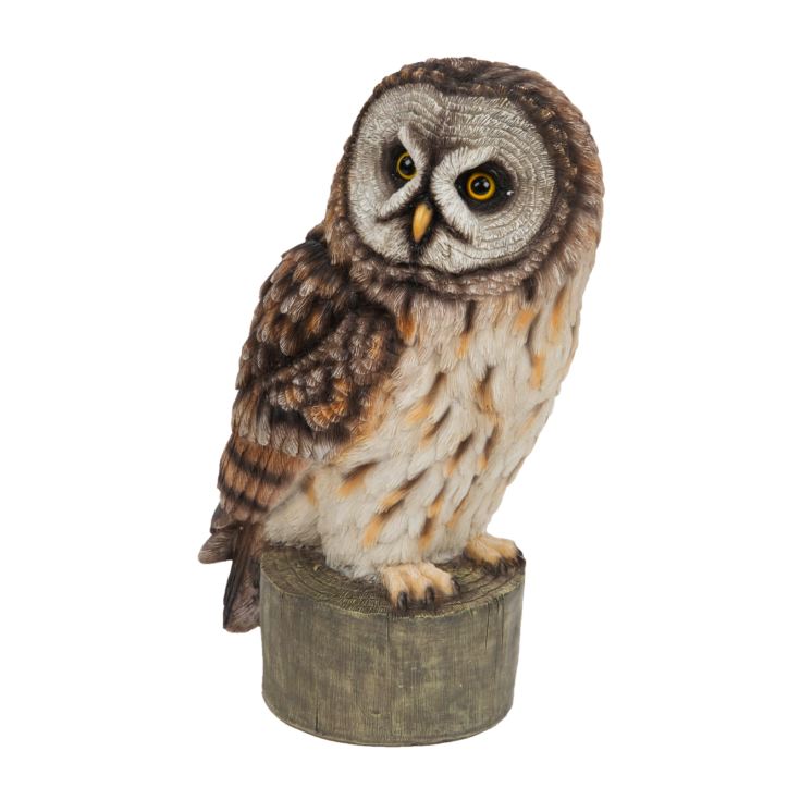 Naturecraft Collection - Owl Figurine product image