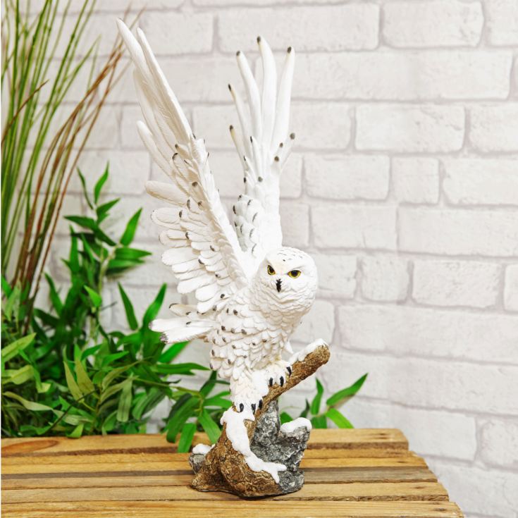 Naturecraft Collection - Owl Figurine 43cm product image