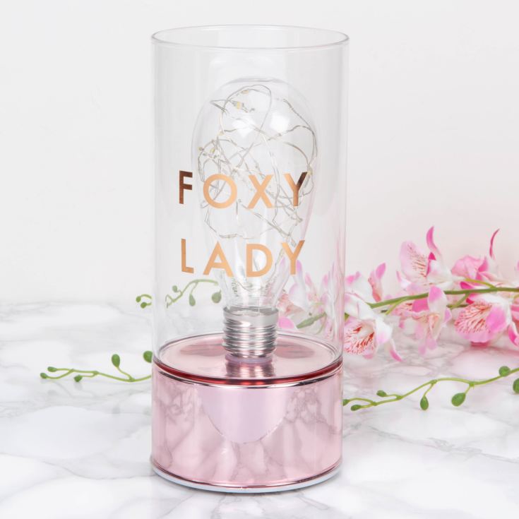 By Appointment LED Tube Light - Foxy Lady product image