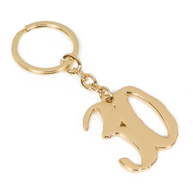 Signography Gold Metal Keyring - 30 product image