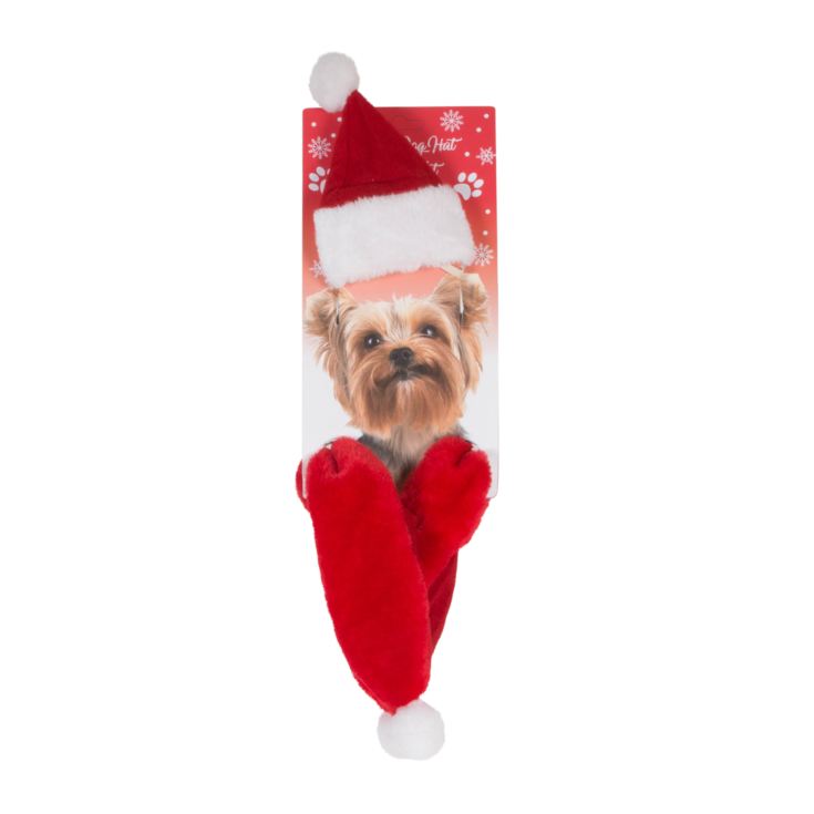 Dog Father Christmas Hat & Scarf product image