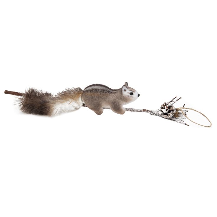 Hanging Squirrel - 52cm x 12cm product image