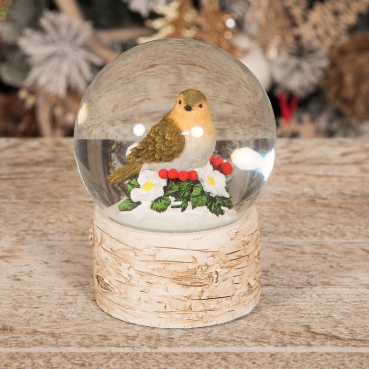 Hand Painted Resin Nesting Robin Snow Globe 13cm product image