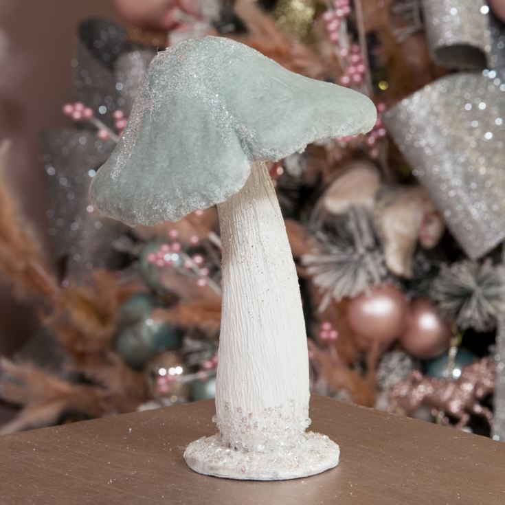 Blue & White Velvet Toadstool product image