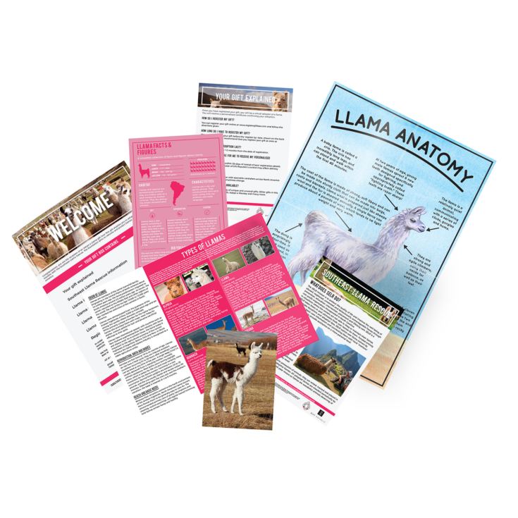 Adopt a Llama product image