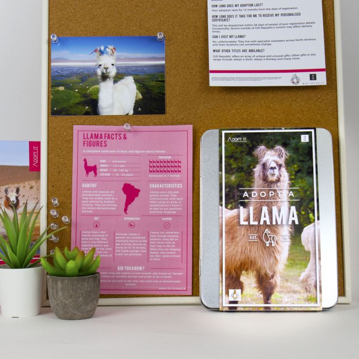 Adopt a Llama product image