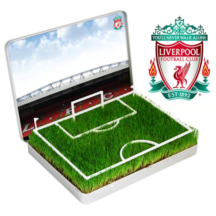 Grow Your Own Mini Football Pitch product image