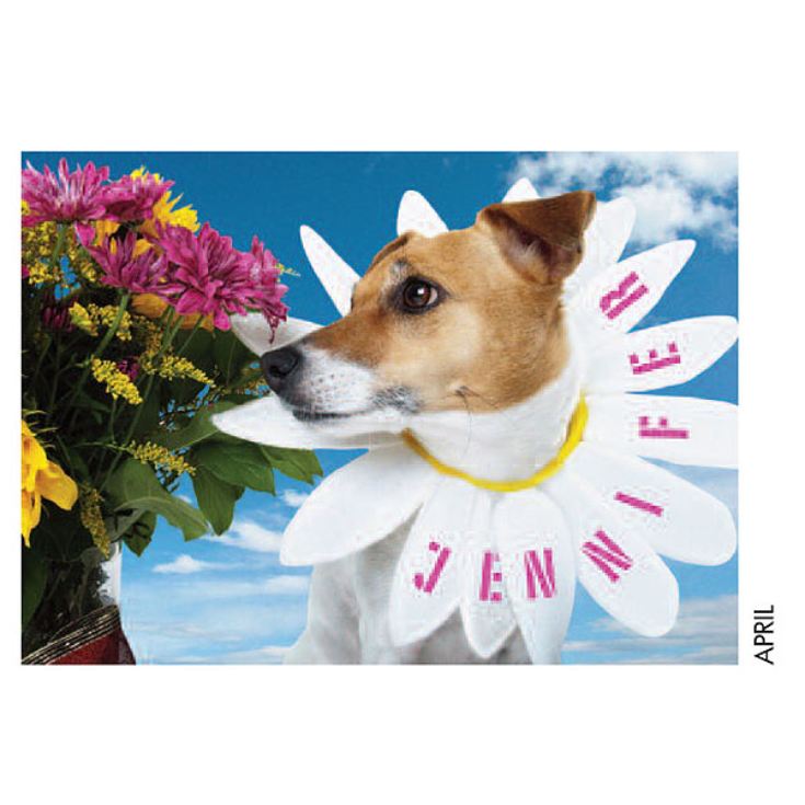 Personalised Dog Calendar product image