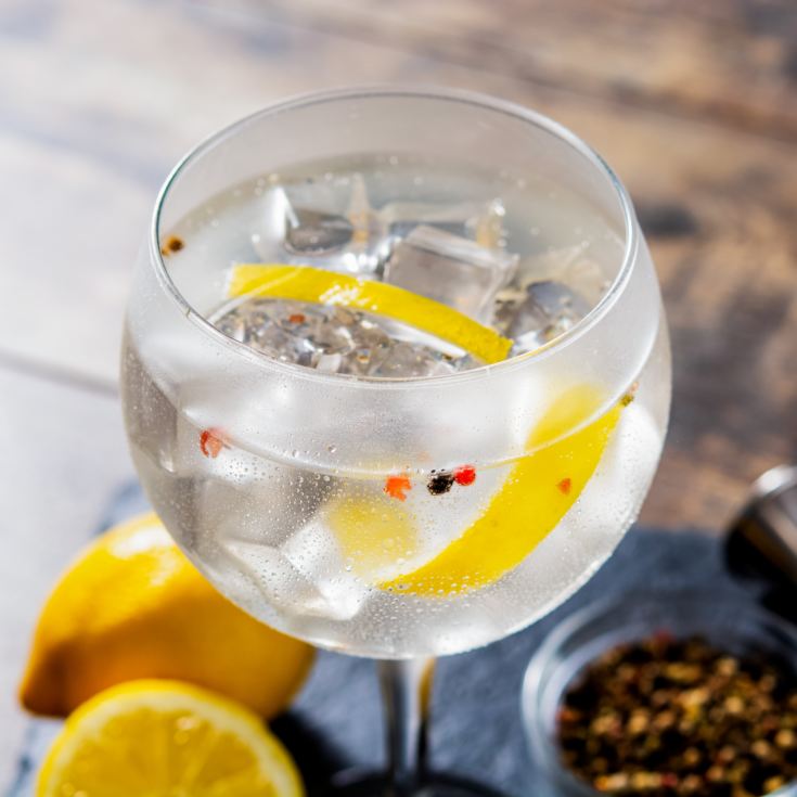 Gin Discovery product image