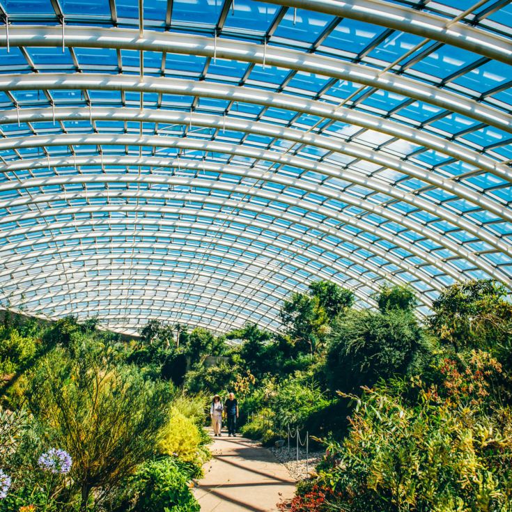 Afternoon Welsh Tea with Prosecco in The Iconic Great Glasshouse for Two product image