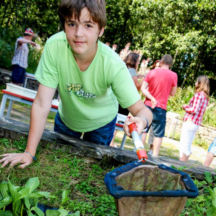 Family Experience at National Botanic Garden of Wales product image