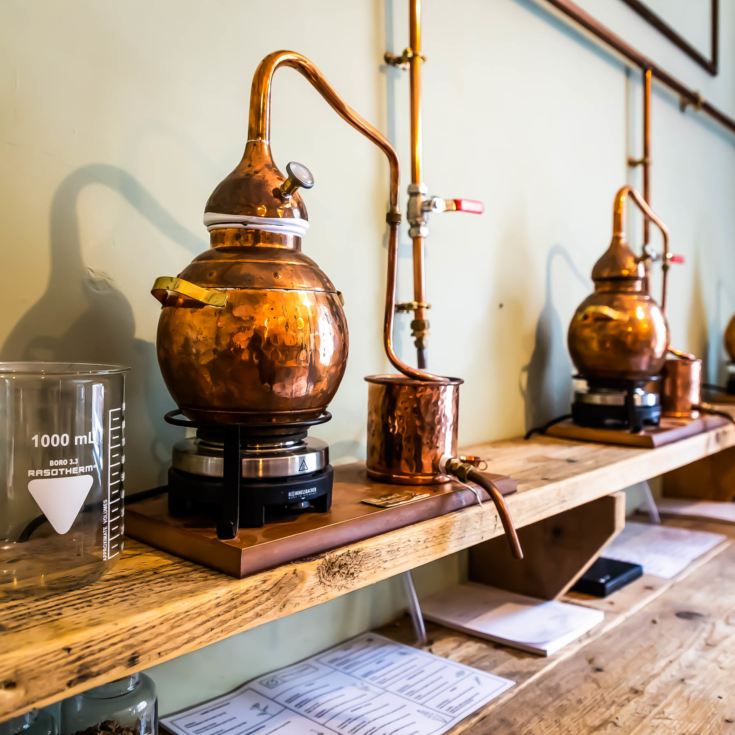 Gin Making Experience for One at Gyre and Gimble product image