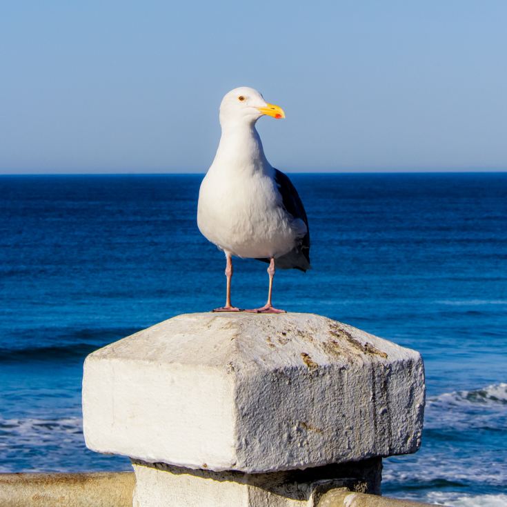 Traditional Seaside Escape for Two product image