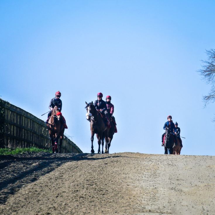 Harraton Court Stables Tour for Two with Darryll Holland product image