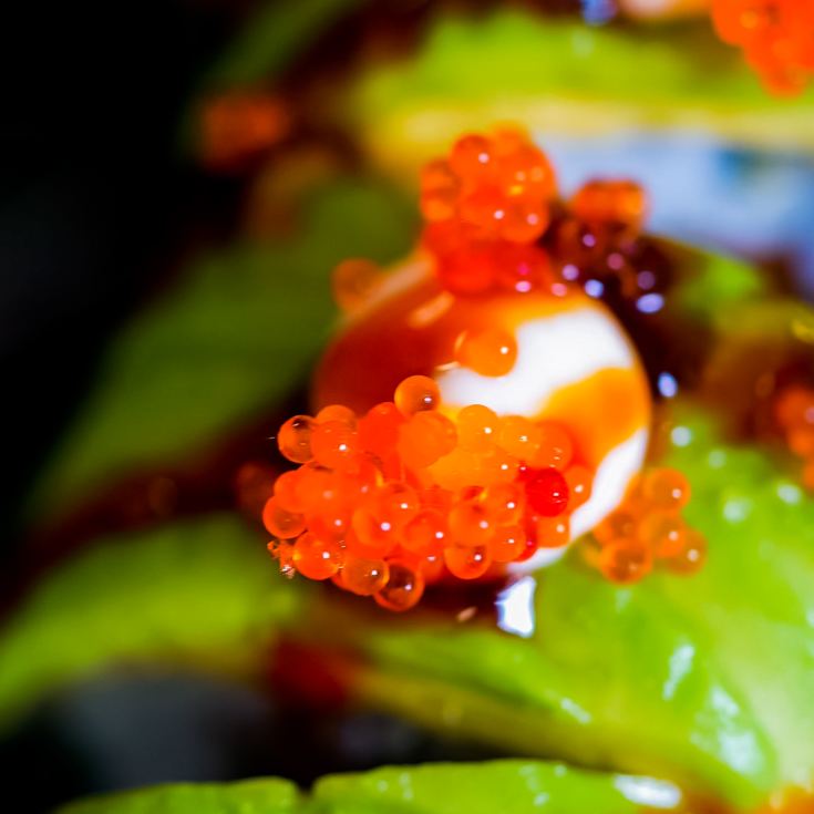 Unlimited Asian Tapas & Sushi with Bottomless Beer or Wine for Two product image