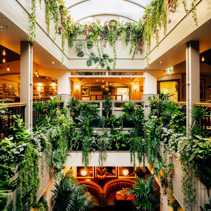 Afternoon Tea at Mr White's Leicester Square & a hop on hop off river pass product image