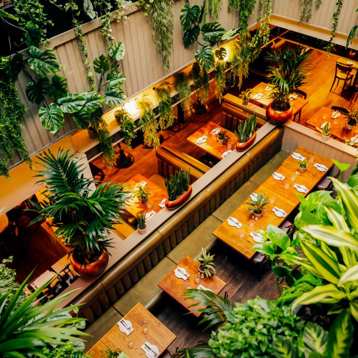 Afternoon Tea at Mr White's Leicester Square & a hop on hop off river pass product image