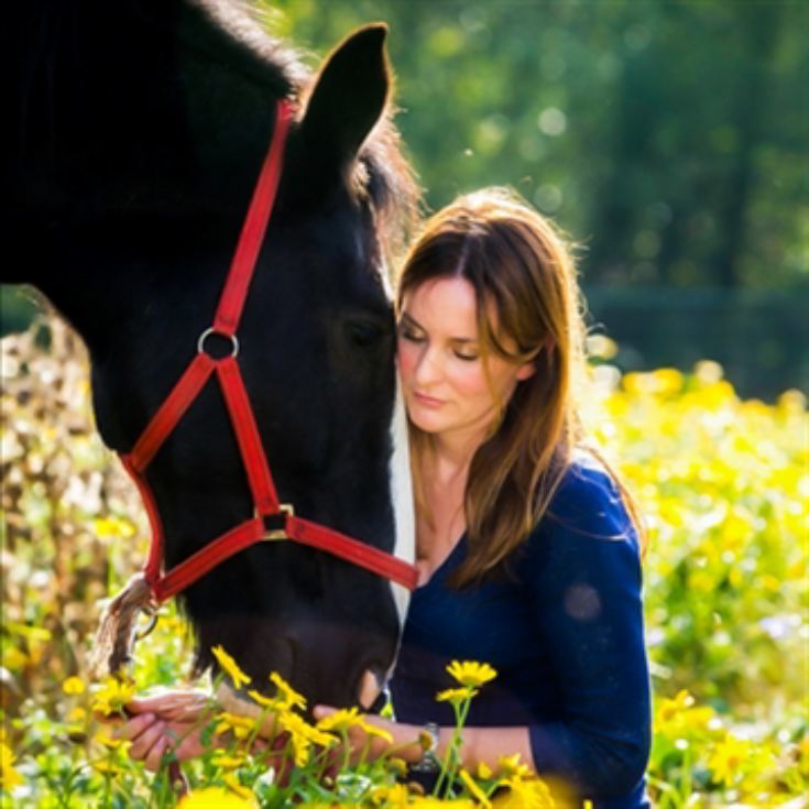 Meditation with Horses for Two in the Lake District product image